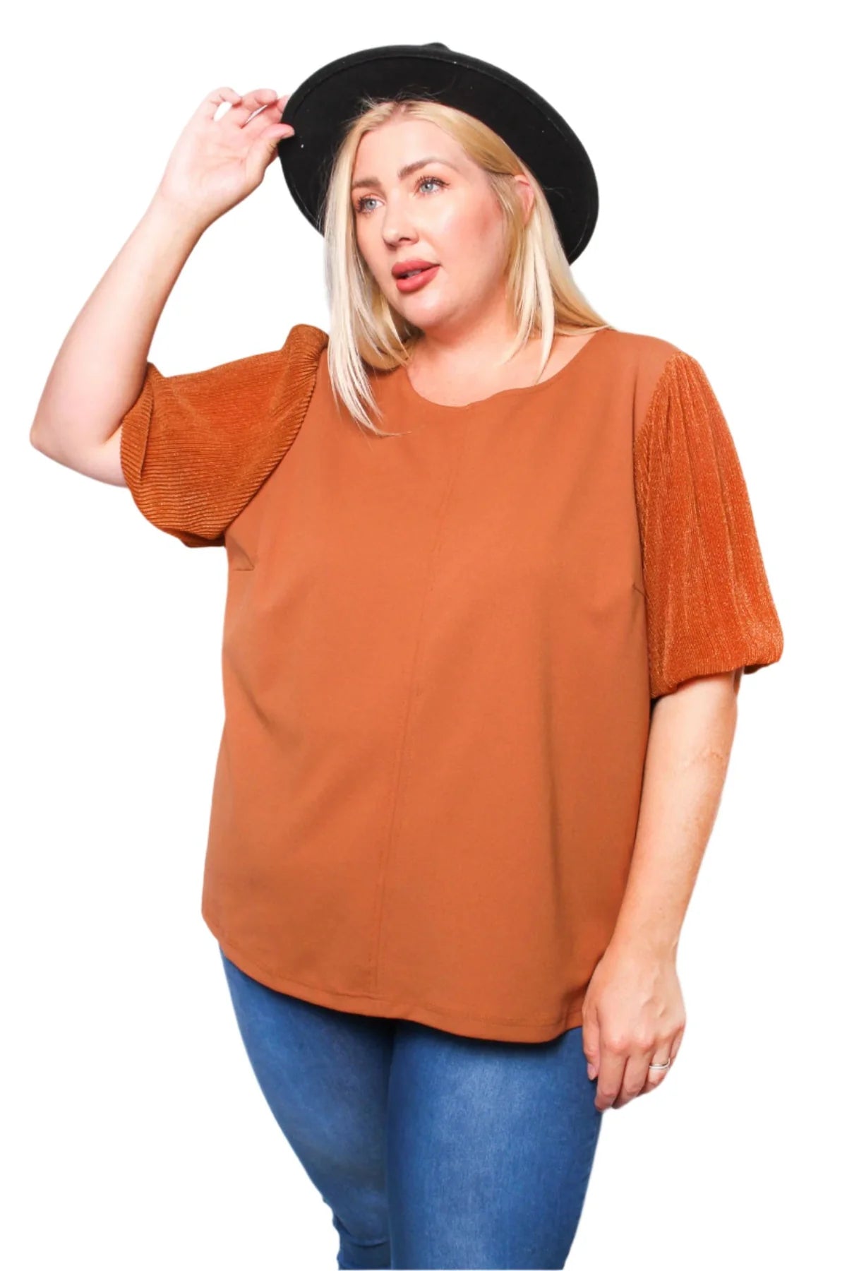 Rust Puff Sleeve Round Neck Blouse